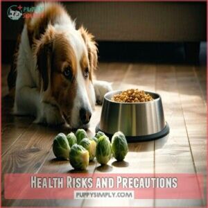 Health Risks and Precautions