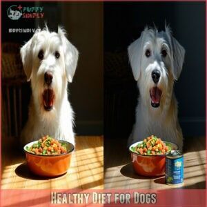 Healthy Diet for Dogs