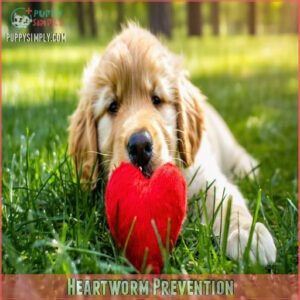 Heartworm Prevention