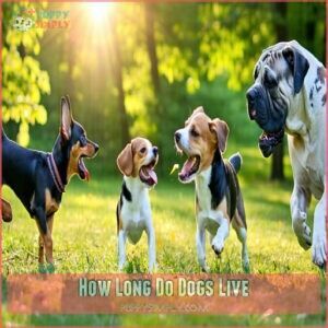 How Long Do Dogs Live