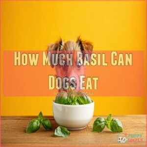 How Much Basil Can Dogs Eat