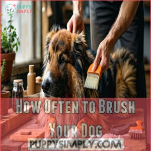 How Often to Brush Your Dog