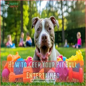 How to Keep Your Pit Bull Entertained