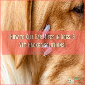 how to kill ear mites in dogs