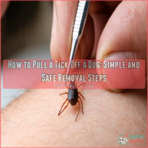 how to pull a tick off a dog