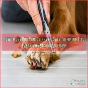 how to use dog nail clippers