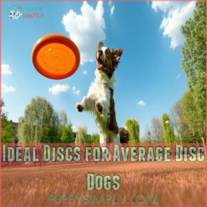 Ideal Discs for Average Disc Dogs