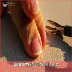 Identifying Quick in Nails