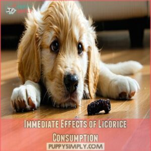 Immediate Effects of Licorice Consumption