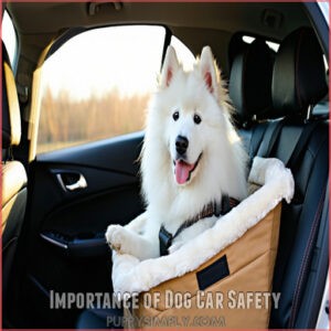 Importance of Dog Car Safety