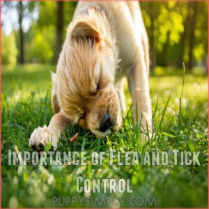 Importance of Flea and Tick Control