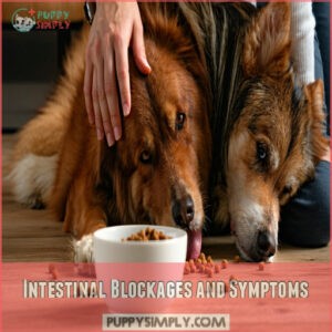 Intestinal Blockages and Symptoms