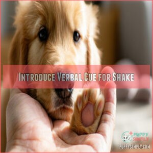 Introduce Verbal Cue for Shake