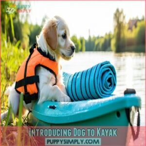 Introducing Dog to Kayak