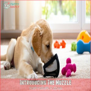 Introducing The Muzzle