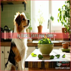 Is Basil Safe for Dogs