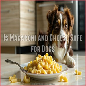 Is Macaroni and Cheese Safe for Dogs