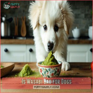 Is Wasabi Bad for Dogs