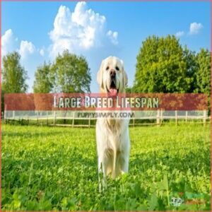 Large Breed Lifespan