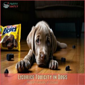 Licorice Toxicity in Dogs