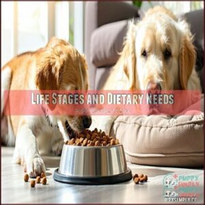 Life Stages and Dietary Needs