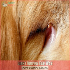 Light Brown Ear Wax