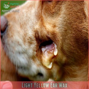 Light Yellow Ear Wax