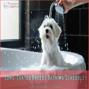 Long-Coated Breeds Bathing Schedule