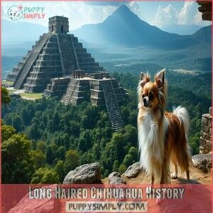 Long Haired Chihuahua History