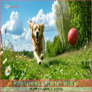 Maintaining a Healthy Weight