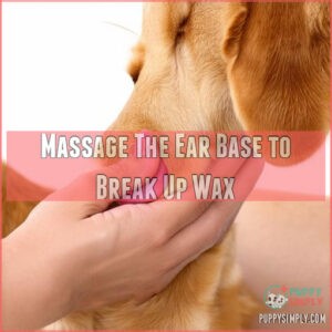 Massage The Ear Base to Break Up Wax