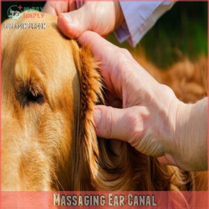 Massaging Ear Canal