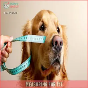 Measuring for Fit