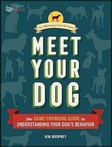 Meet Your Dog: The Game-Changing