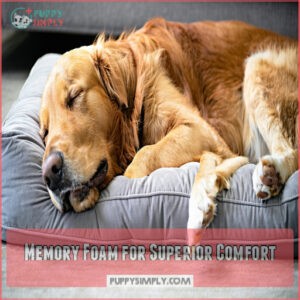 Memory Foam for Superior Comfort