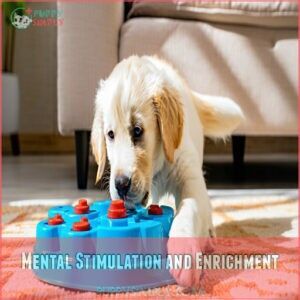 Mental Stimulation and Enrichment