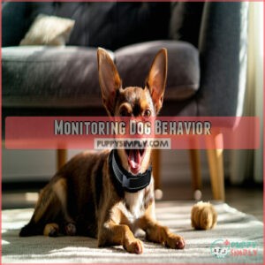 Monitoring Dog Behavior