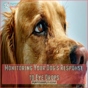 Monitoring Your Dog