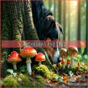 Mushrooms and Dogs