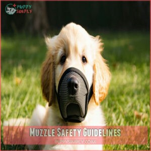 Muzzle Safety Guidelines