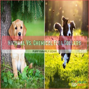 Natural Vs. Chemical Flea Collars