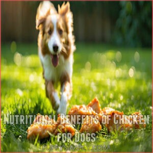 Nutritional Benefits of Chicken for Dogs