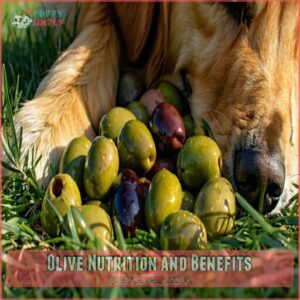 Olive Nutrition and Benefits