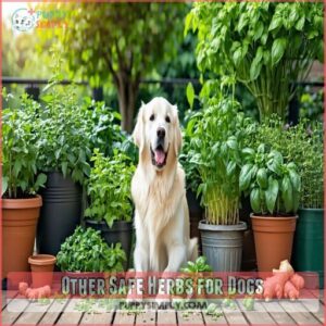 Other Safe Herbs for Dogs