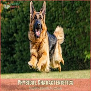 Physical Characteristics