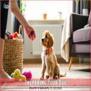 Preparing Your Dog