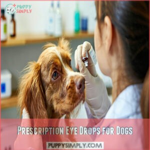 Prescription Eye Drops for Dogs