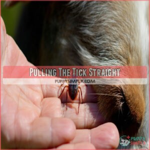 Pulling The Tick Straight