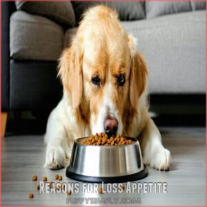 Reasons for Loss Appetite