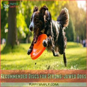 Recommended Discs for Strong-Jawed Dogs